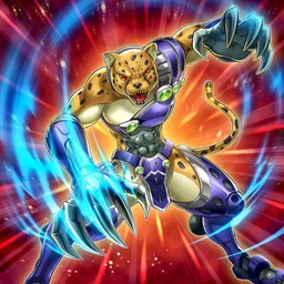 剣闘獣ダリウス – Yu-Gi-Oh! Master Duel – Untapped.gg
