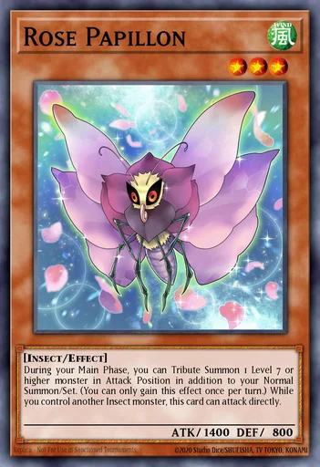 Rose Papillon