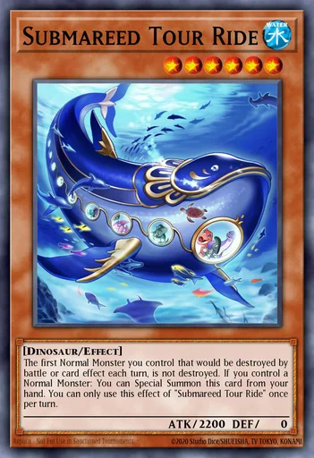 游览艇 潜艇利兹鱼