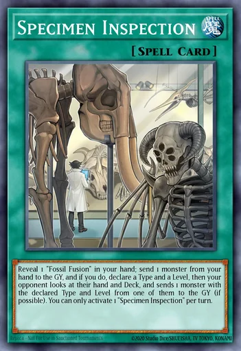 yugioh master duel fossil deck Complete Custom for Yu-Gi-Oh! GX This Fossil deck DOMINATED Limit