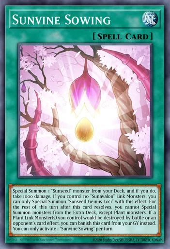 Semis Solairvigne