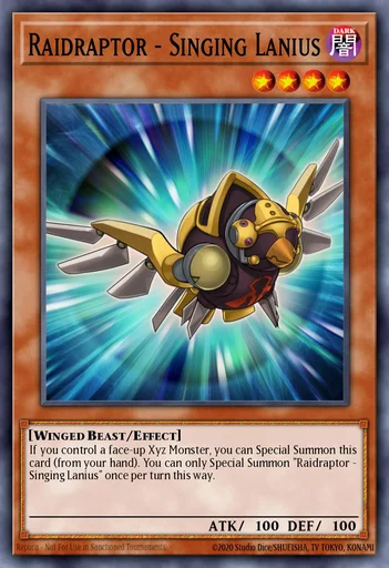 Raidraptor - Lanius Canterino