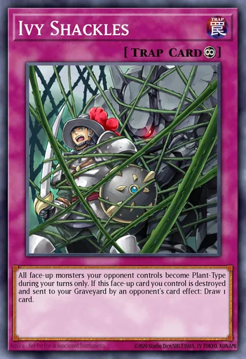 Ivy Shackles – Yu-Gi-Oh! Master Duel – Untapped.gg