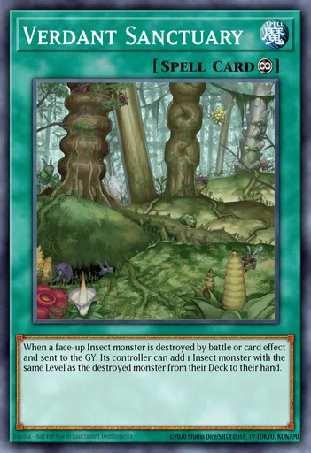 大樹海 – Yu-Gi-Oh! Master Duel – Untapped.gg