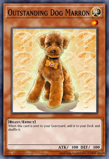 Chien Marron Exceptionnel