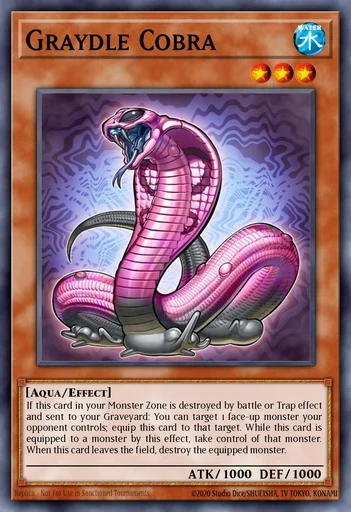 Reticulliano Cobra