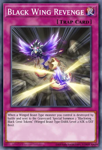 Black Wing Revenge  Yu-Gi-Oh! Master Duel  Untapped.gg