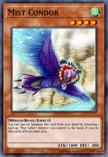 Condor delle Nebbie