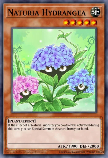 Naturia-Hortensie