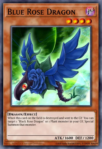 Blue Rose Dragon – Yu-Gi-Oh! Master Duel – Untapped.gg