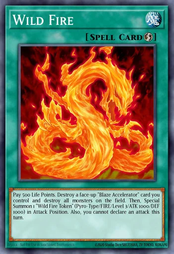 Fuego Salvaje