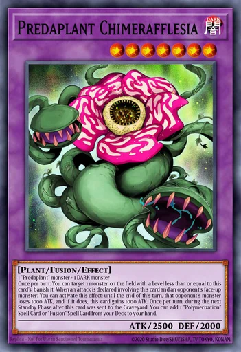 Raubpflanze Chimerafflesia