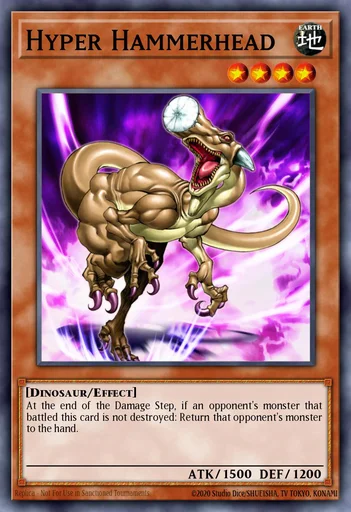 Hyper Tête de Marteau