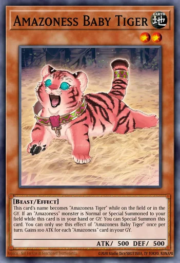 Tigre Bebé Amazoness