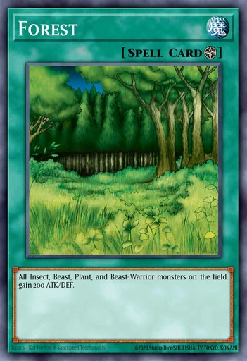Forêt