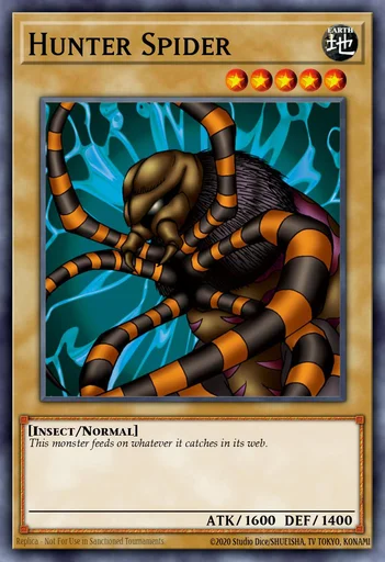 Araña Cazadora