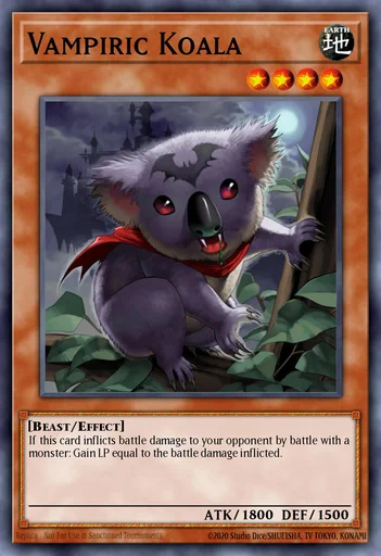 Koala Vampir