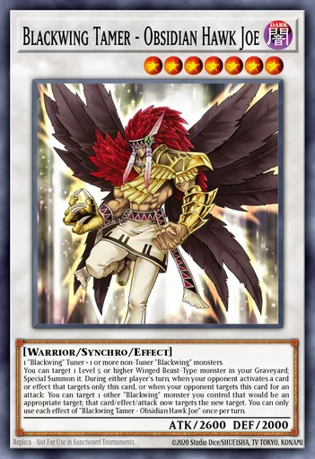 Blackwing Tamer - Obsidian Hawk Joe