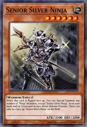 Ninja Senior Argento