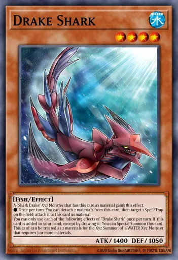 Requin Drakon