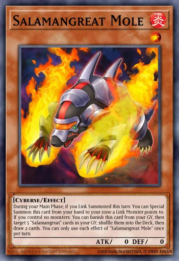 Grosalamander Maulwurf