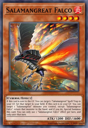 Salamangrande Halcón