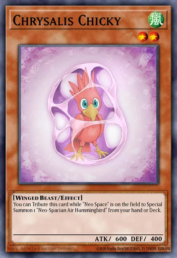 茧状体・小雏鸟