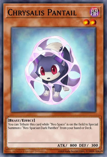 茧状体・小黑豹