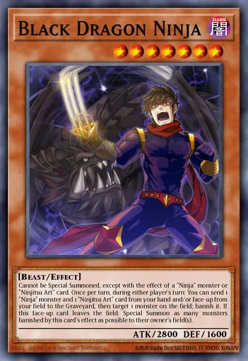 Ninja des schwarzen Drachen