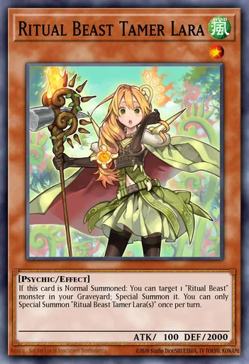 yugioh stun deck Yugioh Stun Boarder Deck by TCGAccess : Amazon.com.au: Toys & Games