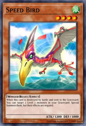 Pájaro Veloz